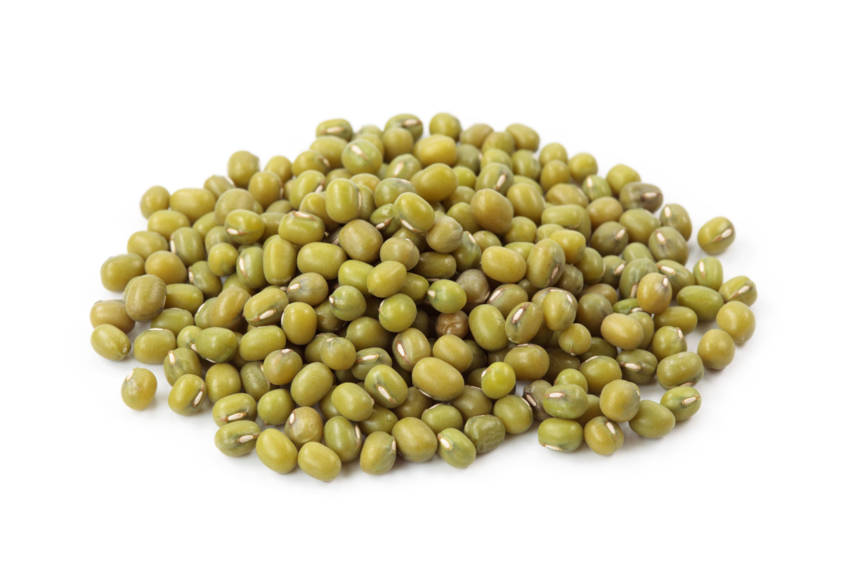 Mung Bean